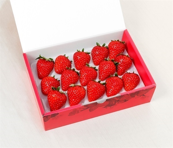 島根県松江市「のつ農園」　完熟いちご「福富アダージョベリー」(15個（L・計400ｇ前後） ※1個25~30g前後)