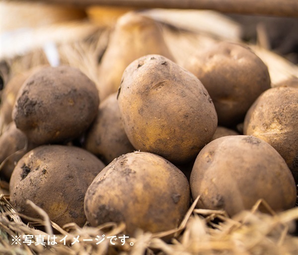 岩田さんたちの大根島産じゃがいも「とうや」５キロ