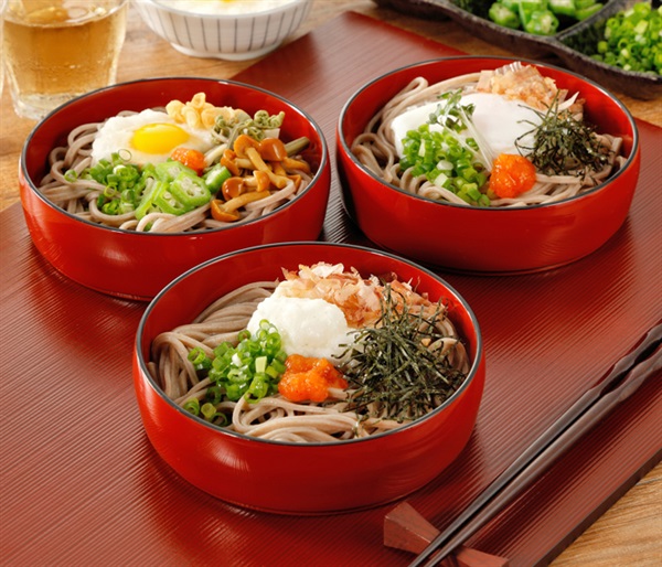 包丁切り出雲そば(乾)１２食セット