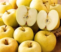 青森県産りんご「星の金貨」２．５ｋｇ
