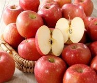 青森県産りんご「ふじ」２．５ｋｇ