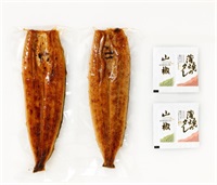 鹿児島県産１本うなぎ蒲焼(２尾計４００ｇ前後)