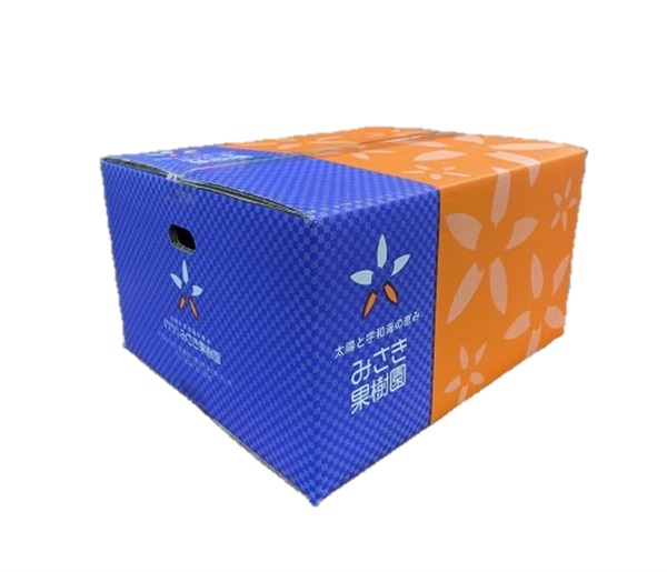 お徳用！愛媛県産みかん(１０キロ)