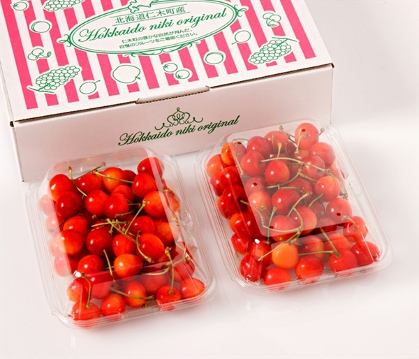 北海道のさくらんぼ 佐藤錦｜TSKオンラインショップ