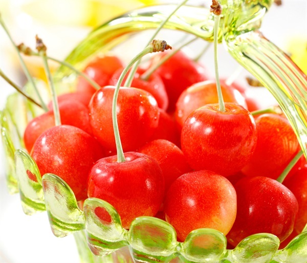 北海道のさくらんぼ 佐藤錦｜TSKオンラインショップ